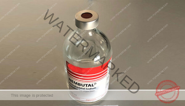 nembutal líquido, nembutal pills liquid & powder, nembutal liquid 100ml, Buy Nembutal UK, where to buy Nembutal online, Buy Nembutal  Online